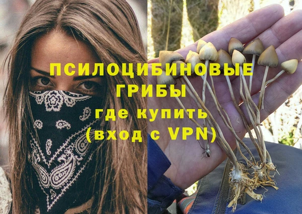 мяу мяу мука Горняк